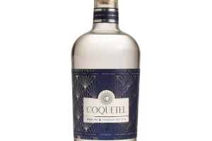 GIN-De-Javu.webp